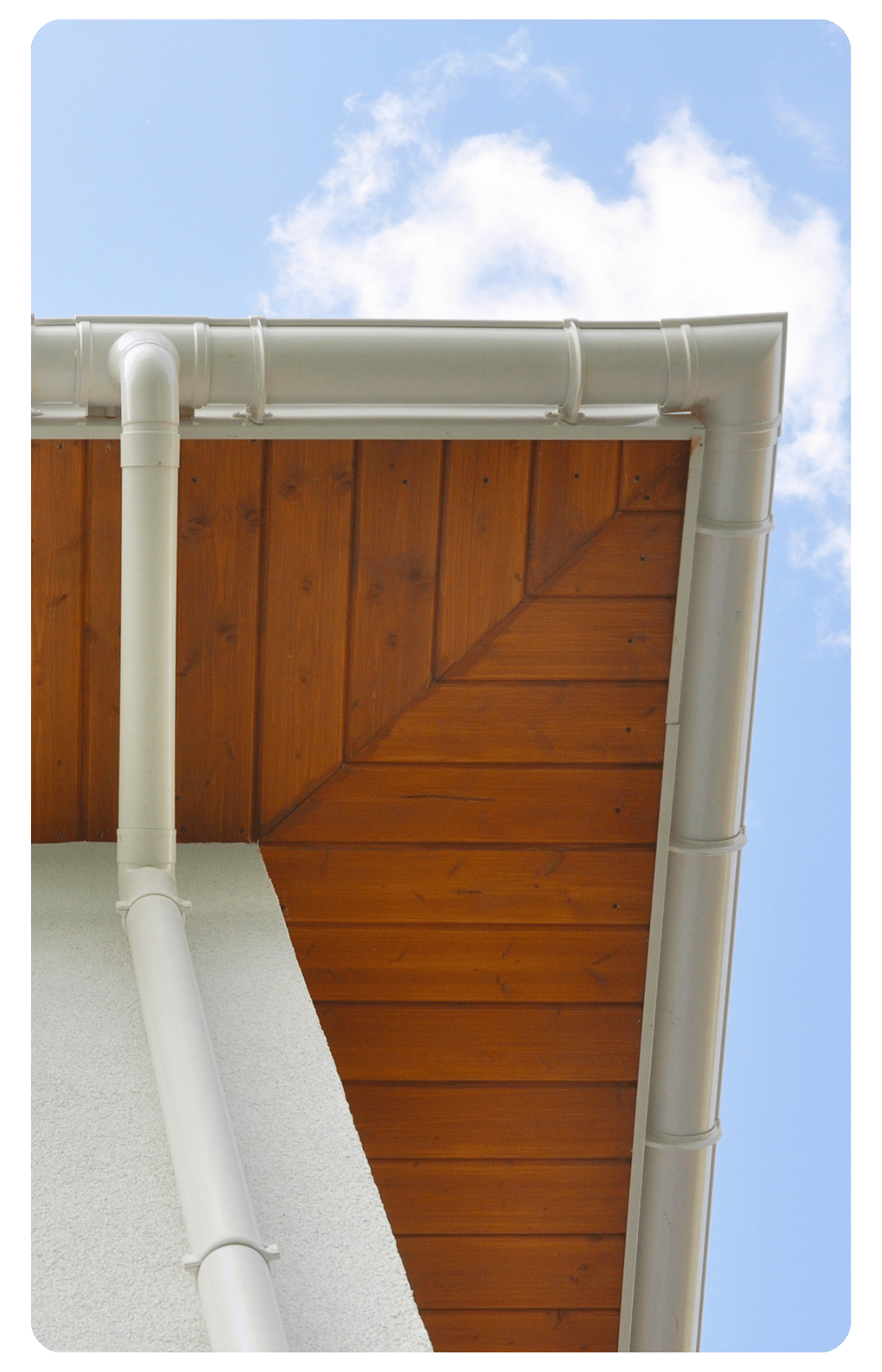 Fascia